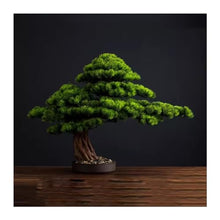 Small Bonsai Tree Simulation Chinese Bonsai Living Room Study Simulation Plant Decoration Office Plant Decoration Porch Decoration Fake Bonsai Fake Plants (Size : A:45x65x20cm)