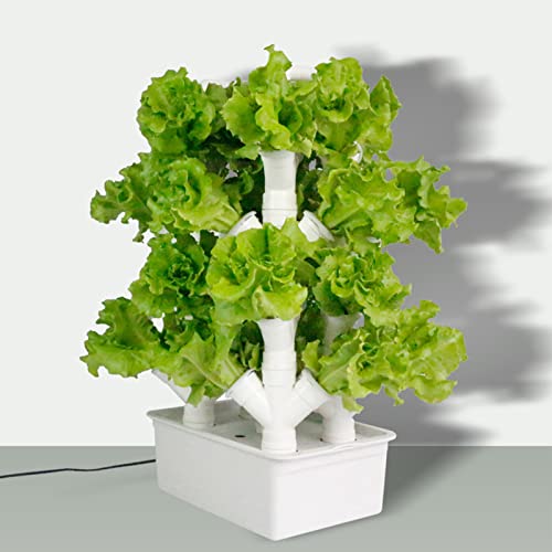 BEESOM Hydroponics Tower, Hydroponics Growing System for Indoor Herbs,Fruits and Vegetables,16/24/32 Pots Garden Hydroponic Growing Kit, Vertical Growing System Gift for Gardening Lover,32Holes