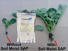 Soil Moist SAP Super Absorbent Polymer Soil Amendment and Water Reservoir for Plants (45 Pounds)
