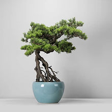 YXIANG56Q Fake Plants Artificial Bonsai Tree, Potted Artificial House Plants, Fake Plant Decoration, Japanese Pine for Desktop Zen Garden Home Office Decor, Height 26'' Bonsai Tree