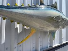 Mount This Fish Company 52" Yellowfin Tuna Full Mount Fish Replica Two Sided