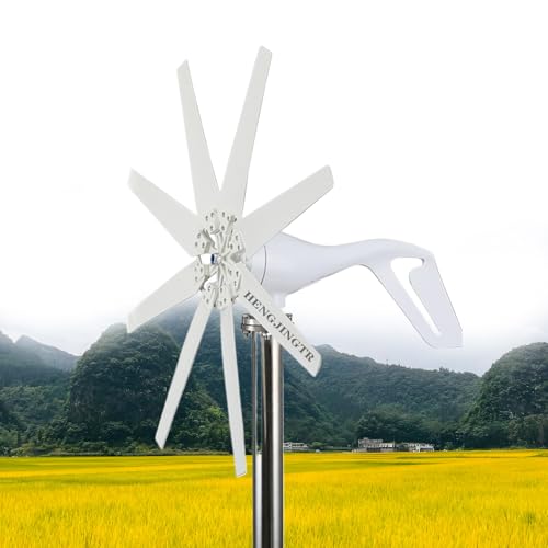 HENGJINGTR 220v, 5000W Efficient Wind Turbine Generator, Reliable Power Output 12V 24V 48V Portable Vertical Wind Power Turbine Generator Kit with Charge Controller (White) ﻿