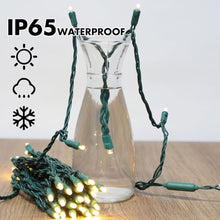 LAMPHOME 1200LED (24pk of 50L) String Lights, LED Christmas Lights, 6" SPACING,Green Wire,Warm White