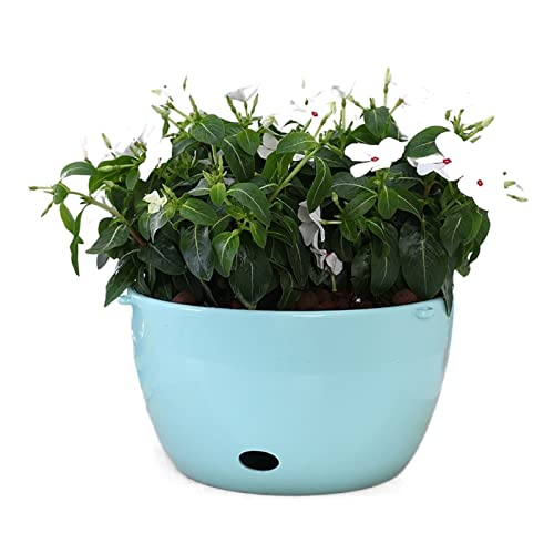 Hanging Planter Hanging Plant Hanging Planter Indoor Outdoor Home Garden Decor Vase Wall Mounted Flower Basket Flowers Not Included Suitable for Indoor and Outdoor Plants ( Color : A3pcs ) (A3pcs )