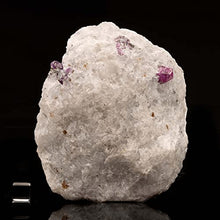 Ag Minerals Rubies in Marble Matrix Ver. 2