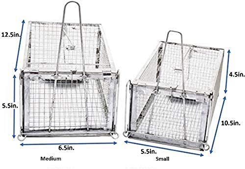 AB Traps Quality Live Animal Humane Trap for Rats, Mice, and Rodents - Small 10.5" x 5.5" x 4.5" 100-Pack