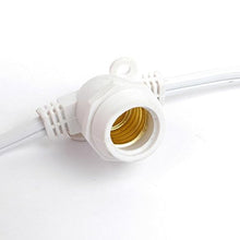 Novelty Lights 330 Feet Heavy Duty Light String, White Wire, 264 Sockets