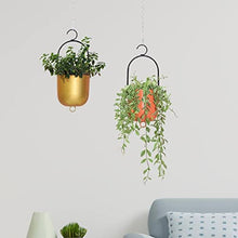 WANGKENSU Hanging Planter Indoor Plant Hanging Planter Pot Modern Flower Pot Home Decor Hanging Plant Planter Metal Plant Vase with Hooks Suitable for Indoor and Outdoor Plants (Color : 1) (1)