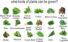 Hydroponics Growing System 72 Sites 8 Pipes Hydroponic Grow Kit Garden Planting Equipment Nft Soilless Balcony Indoor Greenhouse Tool Lettuce Strawberry Hydroponic Tower
