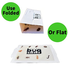 Bug Shield Sticky Glue Traps 12 Pack Glue Boards, Bulk Pack 50 Boxes / 600 Bug Traps. All Types of Incets, Spiders, Cockroaches, Ants, Cave Crickets, and More.Professional Strength Glue.
