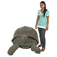 Design Toscano Grand Scale Wildlife Galapagos Tortoise Statue Full Color