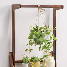 Hanging Plant Stand 2 Tier Ladder Flower Indoor Plant Trellis Wood Flowerpot Stand For Multiple Pot Plant Shelf For Window Balcony Living Room Ladder Frame Moisture-proof Flower Display Rack