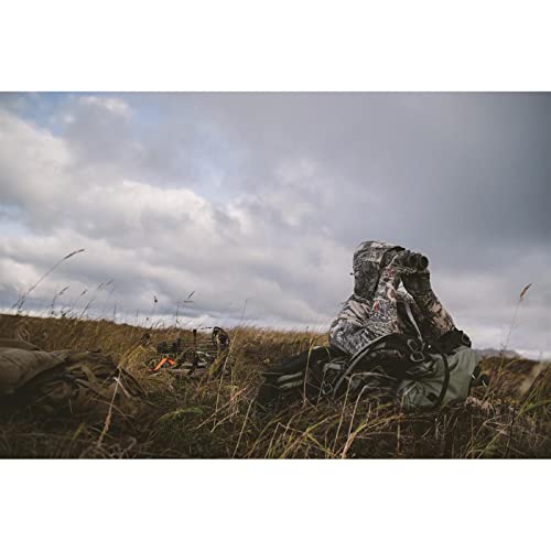 Leupold BX-4 Pro Guide HD 12x50mm Binoculars Gray