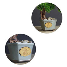 Podocarpus Bonsai Plant Fake Plant Decoration Used for Home Living Room Entrance Office Hotel Decoration House Plant (Color : Green)