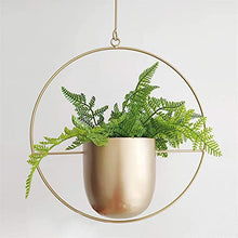 A1DFDFGOQSFG Iron Hanging Flower Pot Decorative Swinging Flower Basket Wall Hanging Flower Pot Decorative Hanging Basket Wall Mount for Home (Size : C) ()