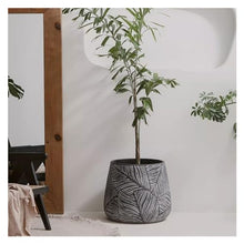 thalo Planter Pots Creative Cement Flowerpot Living Room Personalized Flowerpot Home Simple Indoor Large Diameter Thickened Flowerpot Plant Container Accessories (Size : Small)