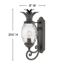 Hinkley Plantation Large Wall Mount Outdoor Lantern - Pineapple Motif, 1-Light, Clear Optic Glass, Aluminum - Museum Black