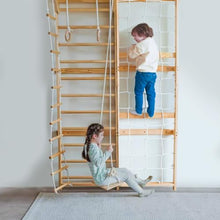 Avenlur Neem 5-in-1 Swedish Ladder Wall Gym Indoor Jungle Gym