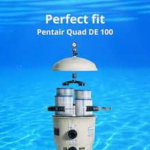 DPM Quad DE Cartridge Set Replacement for Pentair Quad DE 100 Pool Filter Pleated Element 4 Pack Made in USA | Replaces C-6900 PC-1963 FC-6484 178656 (100 Sq Ft (32 3/4" Height) Quad DE100)
