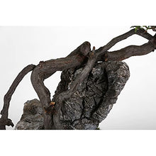Artificial Bonsai Artificial Bonsai Welcome Songya Baigen Bouldering Bonsai Ornaments Porch Hotel Welcome Green Plants Ornaments Office Decoration for Home Office