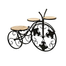 iumLeap Retro Iron Flower Pot Holder Display Tricycle Planter Stand Home Garden Decor