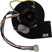 Zodiac Blower Assembly with Gasket Replacement for Jandy LXi Pool Heaters