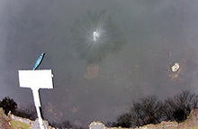 Fawn Lake Fountains Pro-500 Pond Fountain with 1/2HP Stainless Steel Pump