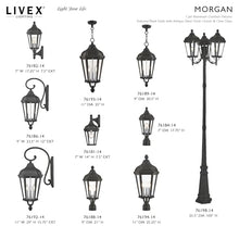 Livex Lighting 3-Light Fixture, Textured Black