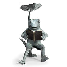 Reading Frog Birdfeeder with Solar LED Light