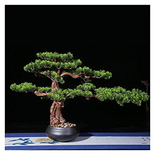 Fake Plants 20 Inches Simulation Potted Plant Decorative Bonsai，Artificial Bonsai Welcoming Pine Tree, The for Shop and Office Bonsai Tree