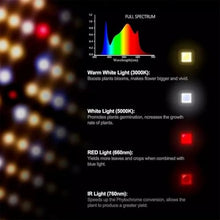 WJSKYDM 100/200/400W LED Grow Light, Full Spectrum Plant Light, Smart Dimmable & High PPFD for Indoor Plants Seedling Vegetables Bloom, Fits 2×4/3×3 Grow Tents,400W
