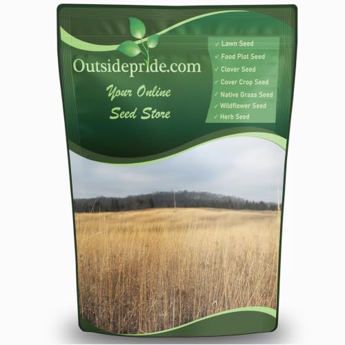 Outsidepride Indian Native Grass Seed - 25 lbs. Perennial, Low Maintenance, Drought-Tolerant Prairie Grass Seed for Wildlife Habitat, Livestock Forage, Ornamental Landscaping & Erosion Control