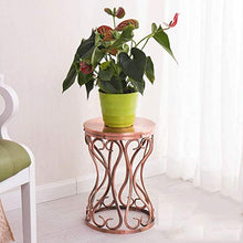 WZWTYSM Classic Tall Plant Stand Art Flower Pot Holder Rack Planter Supports Garden Home Decorative Pots Containers Stand
