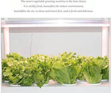FLTRGO Herb Garden kit,hydroponic Growing Kits & Systems,Hydroponics Tower with LED Grow Light,Indoor Garden hydroponic Growing System,for Herbs, Fruits and Vegetables.