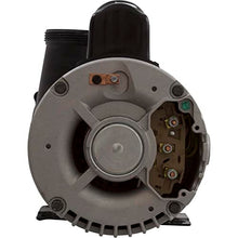 Waterway Viper 56-Frame 4HP Dual-Speed Spa Pump, 2-1/2in. Intake, 2-1/2in. Discharge, 230V 3721621-1V