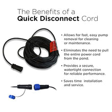 Anjon Manufacturing 0.5 HP EcoFountain with 50-Foot Quick Disconnect Cord AEF15000-50QD
