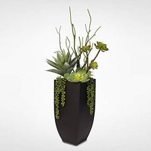 Misc Botanical Succulent Variety in A Tall Black Modern Metal Planter
