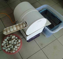 Electric Egg Washing Machine, Egg Surface Cleaning, Chicken Duck Goose Egg Washer Equipment, 2300 Pcs/H Egg Cleaner Wash Machine, for Breeding Farms and Farms