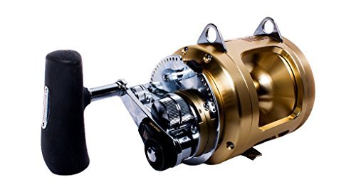 SHIMANO Tiagra A 80 Wide 2-Speed Trolling Reel Gold