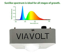 Viavolt Grow Light, 6500K Full Spectrum, Cree COB LED, 65 Watts,12,000 Lumens