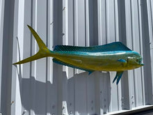 Mount This Fish Company 37" Two Sided Cow Dolphin Wall Mount Fish Replica