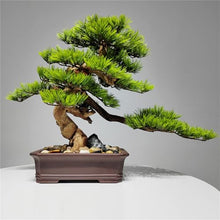 MVUYO Simulated Plant Bonsai Potted Plant Pine Tree Flower Ware Home Decoration Living Room Decoration and Decorations