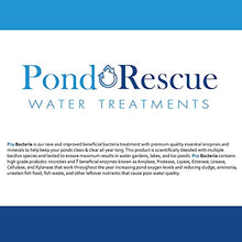 Pro Bacteria Pond Bomb 50 Half Pound Bags Professional Pond Booster