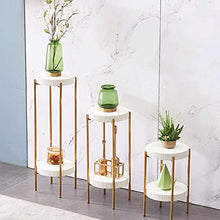 MIIKHI Plant Stands,Flower Stand,Living Room Rear Golden Stainless Steel Flower Shelf Indoor Household Shelfnishings/White/70Cm