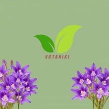 Votaniki Brodiaea Elegans Bulbs for Planting Elegant Cluster Lily Violet Blue Flowers Late Spring to Summer Blooming Drought Tolerant Garden Beds Borders Rock Garden Outdoor Growing (Pack of 250)