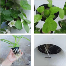 Hydroponics Tower, Soilless Cultivation Growing System, with Water Pump, Nest Basket, Sponge and Movable Water Tank, for Herbs, Fruits and Vegetables,Grey,10 Layers