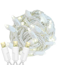 Novelty Lights 24-Pack 25 Feet 50 Light Warm White LED Christmas Lights White Wire, Connectable Mini String, Indoor/Outdoor, Commercial Grade, UL Listed