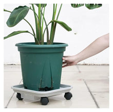 QUANGJN Heavy Duty Plant Caddy with Wheels for Moving Plant Stand and Flower Pot Medium Size,M