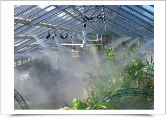 Mistcooling Automatic Greenhouse Humidification System with Misting Pump and Humidity Controller Beige Tubing