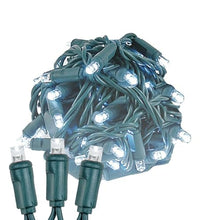 Novelty Lights 12-Pack, 50 Feet 100 LED Pure White Christmas Mini Light String on Green Wire, 5mm Wide Angle Bulbs, Connectable, Indoor/Outdoor Decor, UL Listed